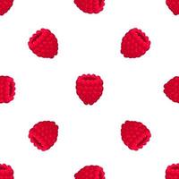 Theme big colored seamless red raspberry vector