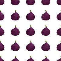 Illustration on theme big colored seamless purple fig vector