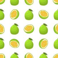 Illustration on theme big colored seamless pomelo vector