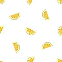 Illustration on theme big colored seamless pomelo vector