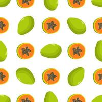 Illustration on theme big colored seamless papaya vector