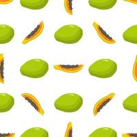 Illustration on theme big colored seamless papaya vector