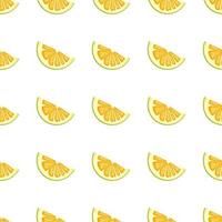 Illustration on theme big colored seamless pomelo vector