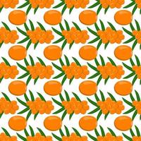 Theme big colored seamless sea buckthorn vector