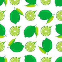 Illustration on theme big colored seamless green lime vector