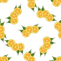 Ilustración sobre el tema kumquat transparente de color grande vector