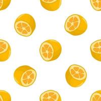 Illustration on theme big colored seamless kumquat vector