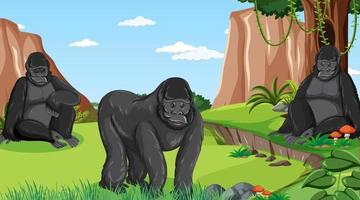 Gorilla group in forest or rainforest scene with many trees vector