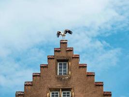 Building in the medieval city of Rouffach in Alsace, France photo