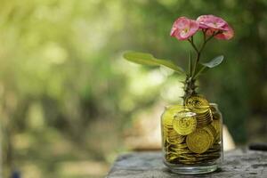 Tree with flowers growing on glass piggy bank from pile of gold coins with blurred background photo