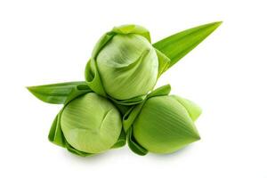 Fresh green lotus flower at white background photo