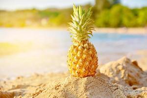 Pineapple on beach summer background holiday travel concept photo