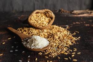 Raw steamed rice and paddy rice on wooden background photo