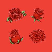 set of red rose vector illustration