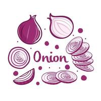 Hand drawn onion collection design isolated on whit background vector