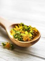 St. John's wort on the wooden spoon photo