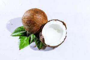 Coconut on the table photo