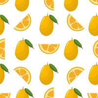 Illustration on theme big colored seamless kumquat vector