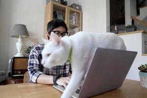 mujer asiática trabajando foto