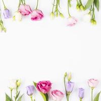 marco de flores rosa violeta. concepto de foto hermosa de alta calidad
