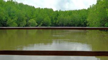 Travel ecosystem by traditional bamboo rafting through the lush mangroves scenic in one of Thailand's yellow river waterways. It is an outdoor adventure in tropical environment of canals and woods. video