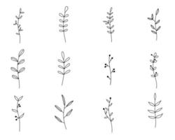 Vector Branches and Leaves