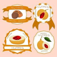 Ilustración sobre el tema gran conjunto de diferentes tipos de nuez moscada de especias vector