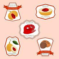 Illustration on theme big set different types spice nutmeg vector