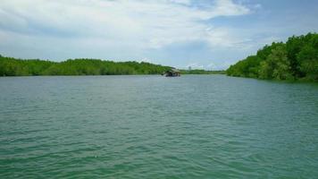 Travel ecosystem by traditional bamboo rafting through the lush mangroves scenic in one of Thailand's yellow river waterways. It is an outdoor adventure in tropical environment of canals and woods. video