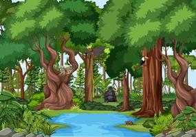 Escena de la naturaleza con un arroyo que fluye a través del bosque con animales salvajes. vector