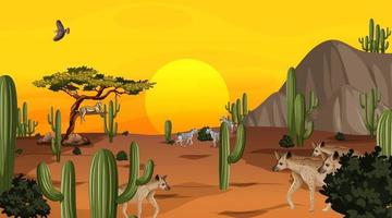 Desert forest landscape at sunset time scene with wild animals vector