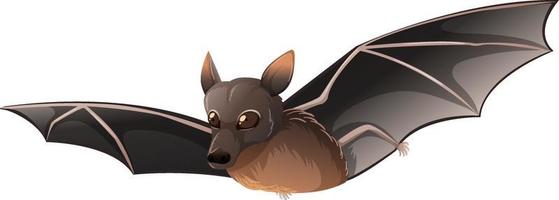 pequeño murciélago rojo en estilo de dibujos animados sobre fondo blanco