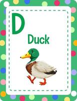flashcard del alfabeto con la letra d para pato vector