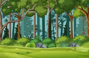 escena del bosque con muchos arboles. vector