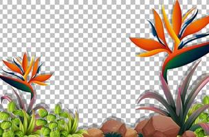 Various tropical plants frame vector