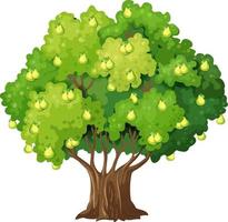 Pear tree in cartoon style isolated on white background vector