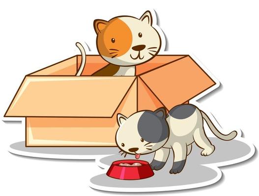 Cute cat in the box sticker