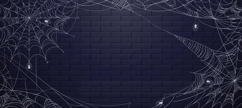 Spiderweb for Halloween Background