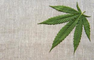 Cannabis leaves on the hemp textile background photo