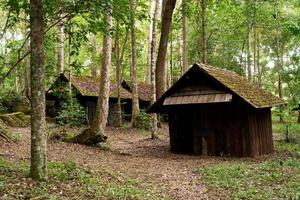 casa de madera en el bosque foto