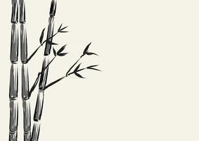 bosquejo, ilustración, de, bambú, árbol vector