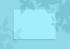 Blank display background with plant shadow overlay vector