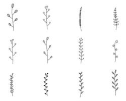 silueta de ramas con hojas vector