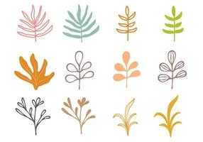 Colorful Hand Drawn Stem and Leaves vector
