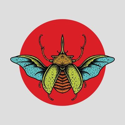 Insect drawing with red circle