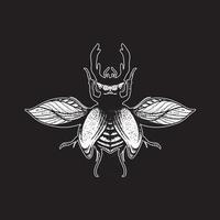 Insect hand drawing vector