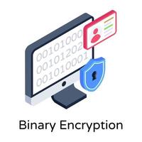 Binary Encryption and coding vector