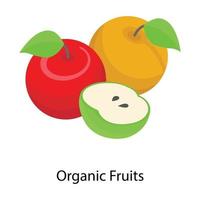 conceptos de frutas orgánicas vector