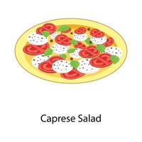 Caprese Salad plate vector