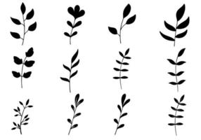 flores y ramas minimalistas vector
